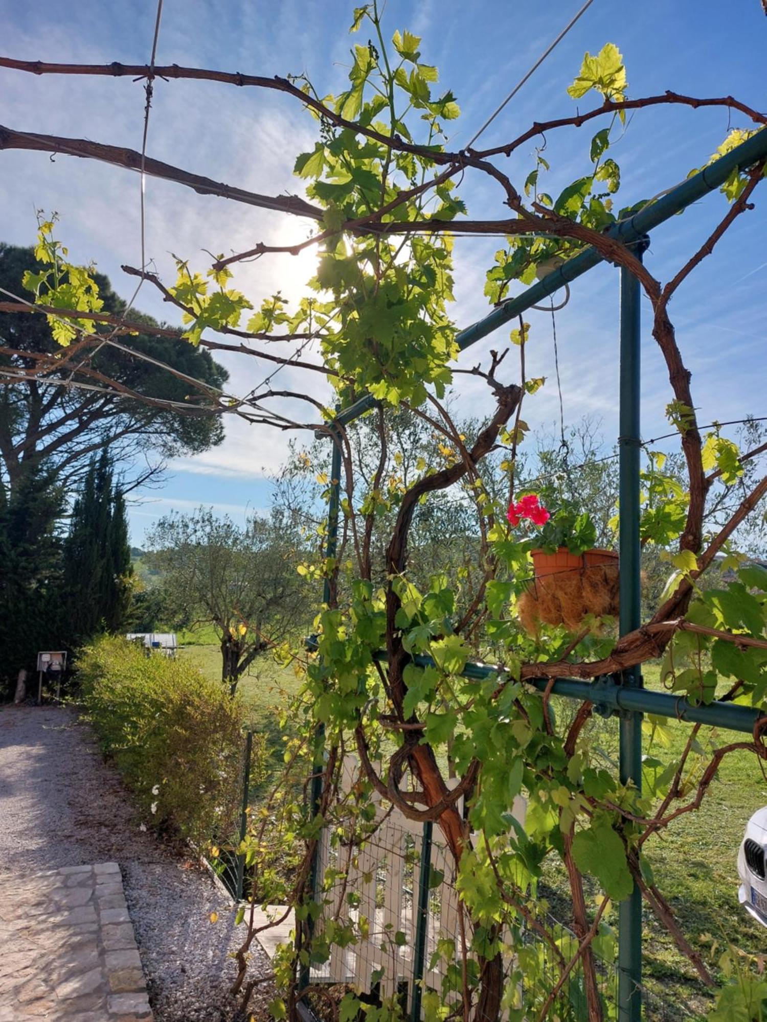 Vento E Mare Bed & Breakfast Riotorto Dış mekan fotoğraf